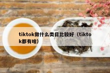 tiktok做什么类目比较好（tiktok都有啥）