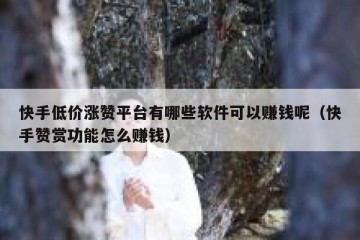 快手低价涨赞平台有哪些软件可以赚钱呢（快手赞赏功能怎么赚钱）