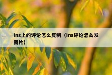ins上的评论怎么复制（ins评论怎么发图片）