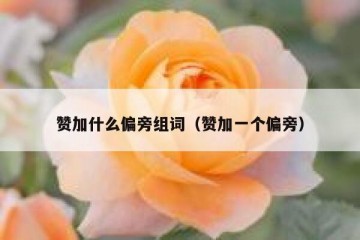 赞加什么偏旁组词（赞加一个偏旁）