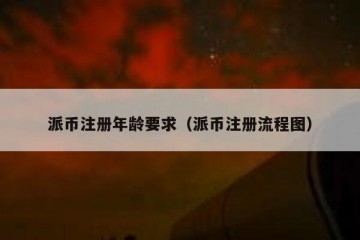 派币注册年龄要求（派币注册流程图）