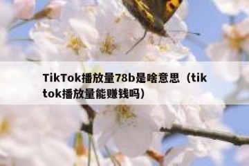 TikTok播放量78b是啥意思（tiktok播放量能赚钱吗）