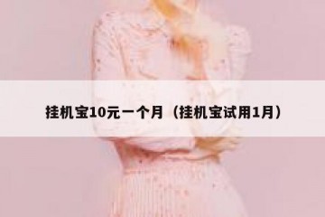 挂机宝10元一个月（挂机宝试用1月）