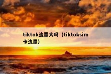 tiktok流量大吗（tiktoksim卡流量）