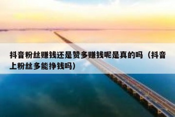 抖音粉丝赚钱还是赞多赚钱呢是真的吗（抖音上粉丝多能挣钱吗）