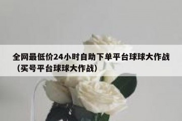 全网最低价24小时自助下单平台球球大作战（买号平台球球大作战）