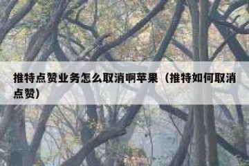 推特点赞业务怎么取消啊苹果（推特如何取消点赞）