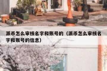 派币怎么审核名字和账号的（派币怎么审核名字和账号的信息）