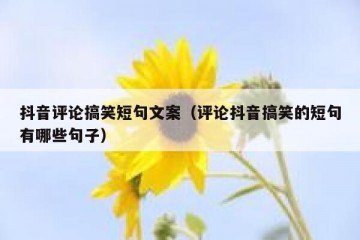 抖音评论搞笑短句文案（评论抖音搞笑的短句有哪些句子）