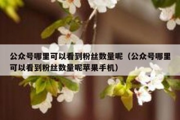 公众号哪里可以看到粉丝数量呢（公众号哪里可以看到粉丝数量呢苹果手机）