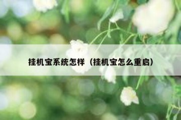 挂机宝系统怎样（挂机宝怎么重启）