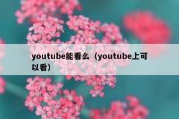 youtube能看么（youtube上可以看）