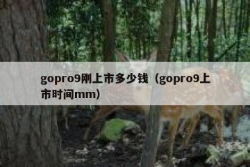 gopro9刚上市多少钱（gopro9上市时间mm）