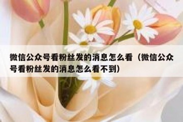 微信公众号看粉丝发的消息怎么看（微信公众号看粉丝发的消息怎么看不到）