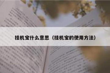 挂机宝什么意思（挂机宝的使用方法）