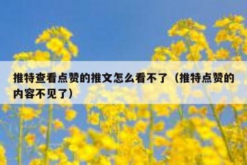 推特查看点赞的推文怎么看不了（推特点赞的内容不见了）