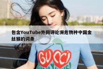 包含YouTube外网评论濒危物种中国金丝猴的词条