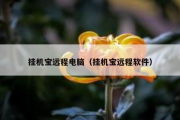 挂机宝远程电脑（挂机宝远程软件）