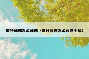 推特截图怎么截图（推特截图怎么截图手机）