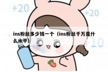 ins粉丝多少钱一个（ins粉丝千万是什么水平）