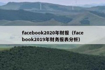 facebook2020年财报（facebook2019年财务报表分析）
