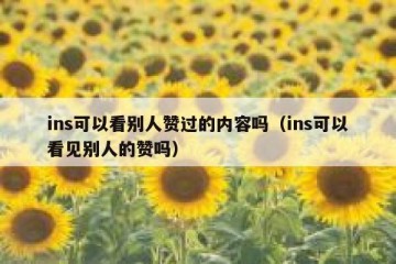 ins可以看别人赞过的内容吗（ins可以看见别人的赞吗）