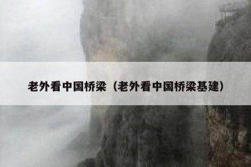 老外看中国桥梁（老外看中国桥梁基建）