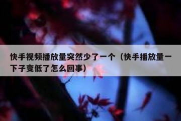 快手视频播放量突然少了一个（快手播放量一下子变低了怎么回事）