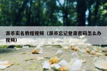 派币实名教程视频（派币忘记登录密码怎么办视频）