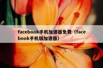 facebook手机加速器免费（facebook手机版加速器）