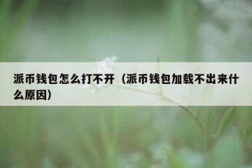 派币钱包怎么打不开（派币钱包加载不出来什么原因）