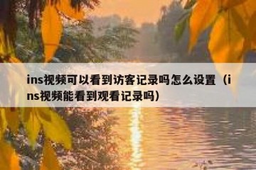 ins视频可以看到访客记录吗怎么设置（ins视频能看到观看记录吗）
