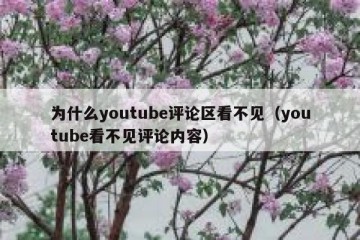 为什么youtube评论区看不见（youtube看不见评论内容）