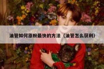 油管如何涨粉最快的方法（油管怎么获利）