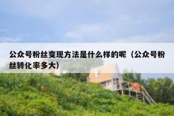 公众号粉丝变现方法是什么样的呢（公众号粉丝转化率多大）