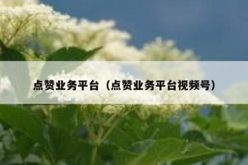 点赞业务平台（点赞业务平台视频号）