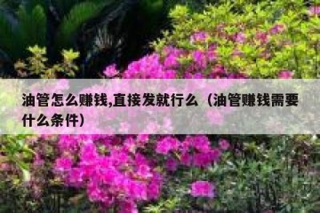 油管怎么赚钱,直接发就行么（油管赚钱需要什么条件）