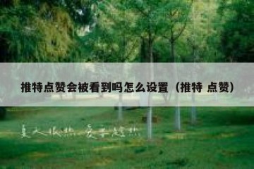 推特点赞会被看到吗怎么设置（推特 点赞）