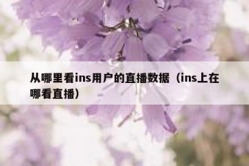 从哪里看ins用户的直播数据（ins上在哪看直播）