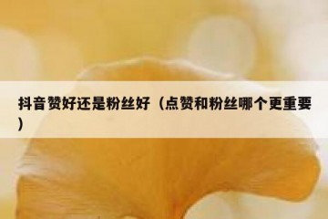 抖音赞好还是粉丝好（点赞和粉丝哪个更重要）