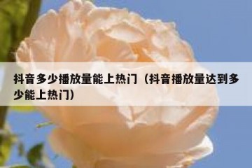 抖音多少播放量能上热门（抖音播放量达到多少能上热门）