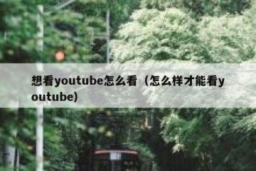 想看youtube怎么看（怎么样才能看youtube）