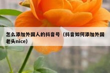 怎么添加外国人的抖音号（抖音如何添加外国老头nice）