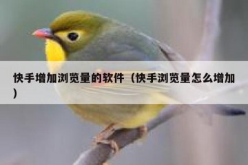 快手增加浏览量的软件（快手浏览量怎么增加）