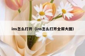 ins怎么打开（ins怎么打开全屏大图）