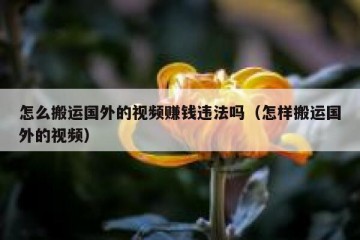 怎么搬运国外的视频赚钱违法吗（怎样搬运国外的视频）