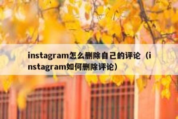 instagram怎么删除自己的评论（instagram如何删除评论）