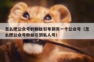 怎么把公众号的粉丝引导到另一个公众号（怎么把公众号粉丝引到私人号）