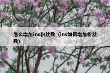 怎么增加ins粉丝数（ins如何增加粉丝数）