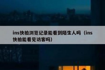 ins快拍浏览记录能看到陌生人吗（ins快拍能看见访客吗）